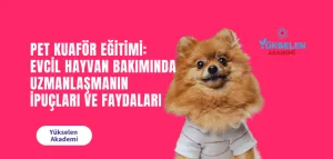 Evcil Hayvan Bakımında Uzmanlaşmanın İpuçları