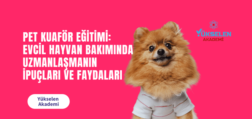 Evcil Hayvan Bakımında Uzmanlaşmanın İpuçları