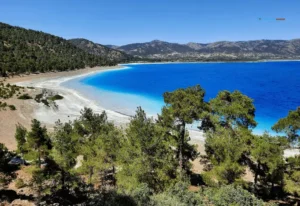 Burdur MYK Emlak Sertifikası Seviye 5 Belgesi