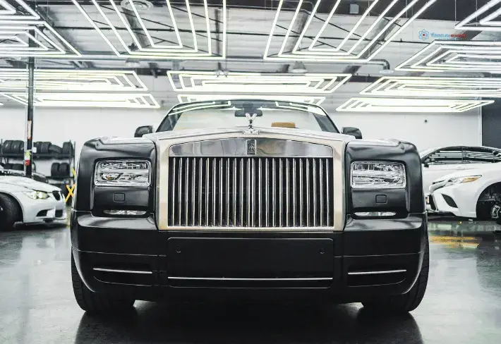 Samsun Bafra MYK Galerici Sertifikası Seviye 5 Belgesi