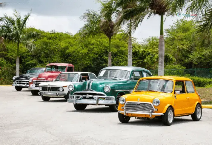 Samsun MYK Galerici Sertifikası Seviye 5 Belgesi