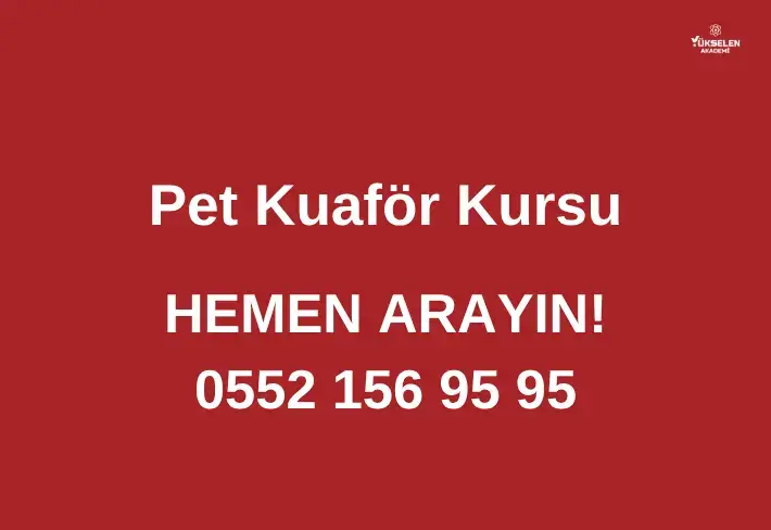 Pet Kuaför Kursu Sertifikalı Eğitim Programı