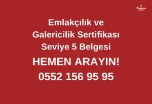 Emlakçılık ve Galericilik Sertifikası Seviye 5 Belgesi 2025
