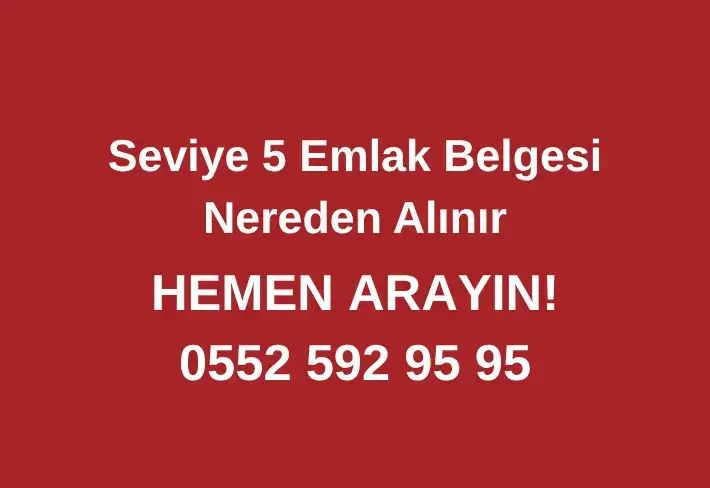 Seviye 5 Emlak Belgesi Nereden Alınır